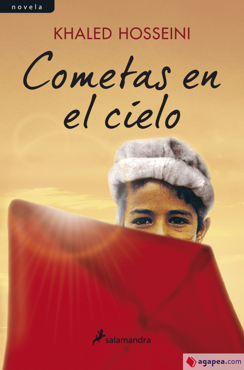 Cometas en el cielo